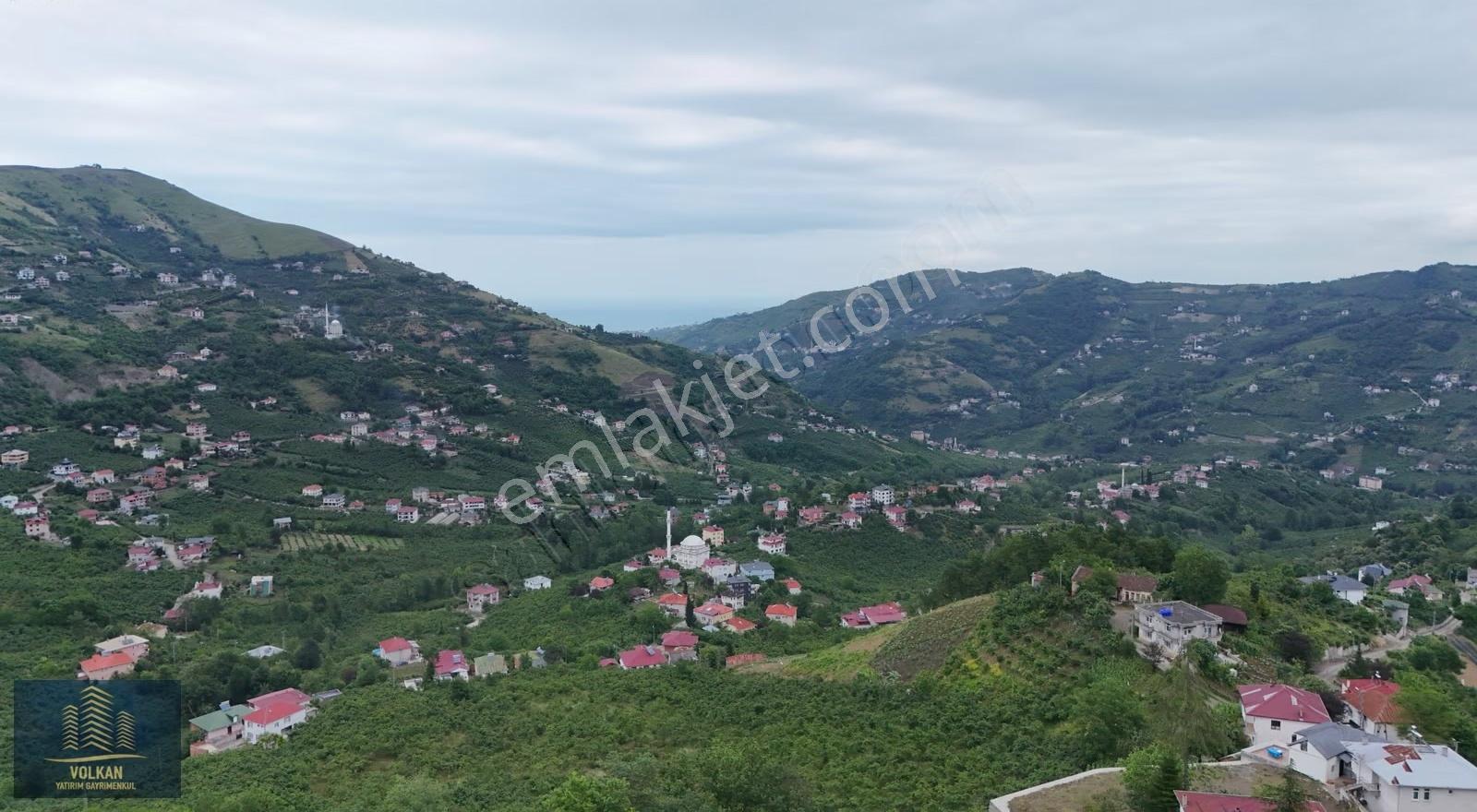 Vyg'den Akçaabat Uğurlu'da Satılık Triplex İkiz Villa - Görsel 4