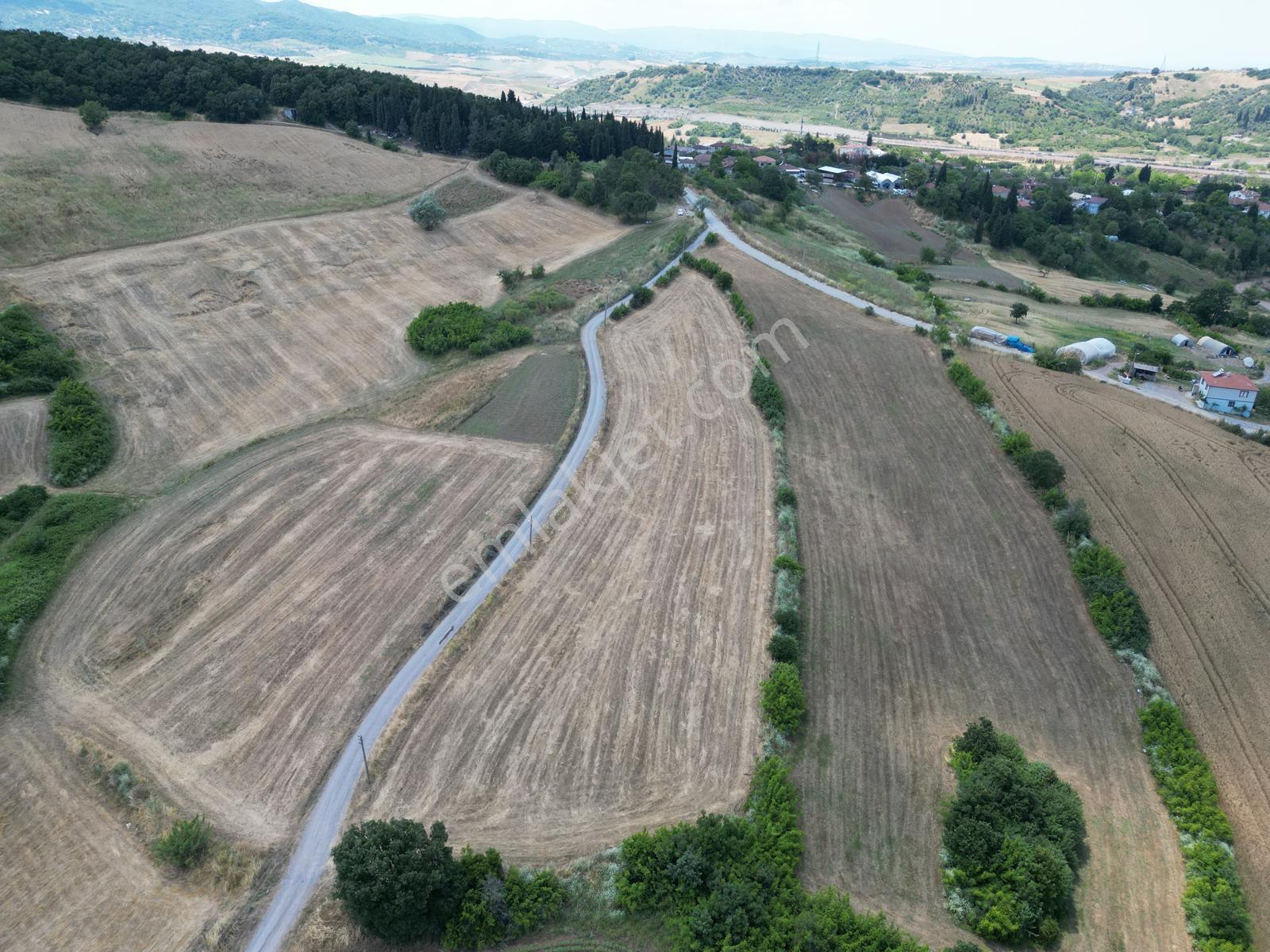Kılıç' Ta Köy Merkezine 500 Metre 7.941 M2 Yola Cephe Arazi - Görsel 13