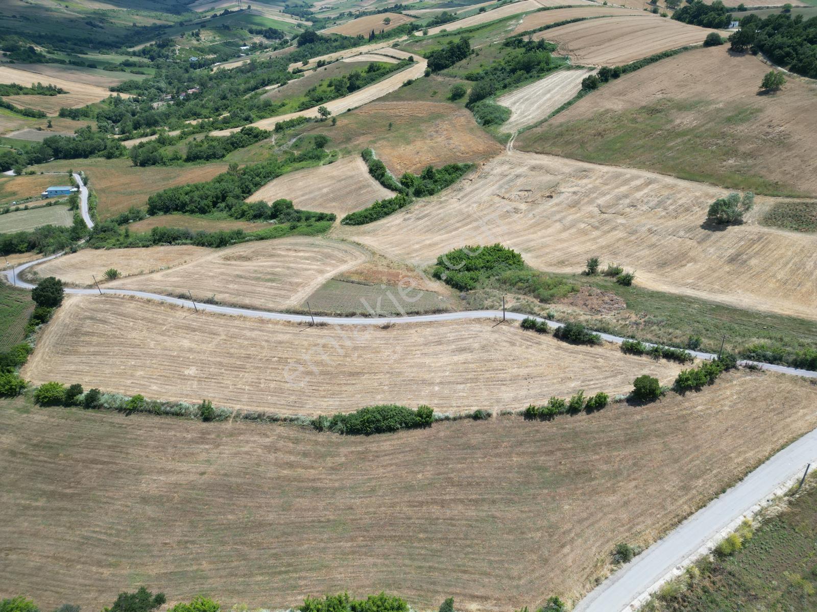 Kılıç' Ta Köy Merkezine 500 Metre 7.941 M2 Yola Cephe Arazi - Görsel 5