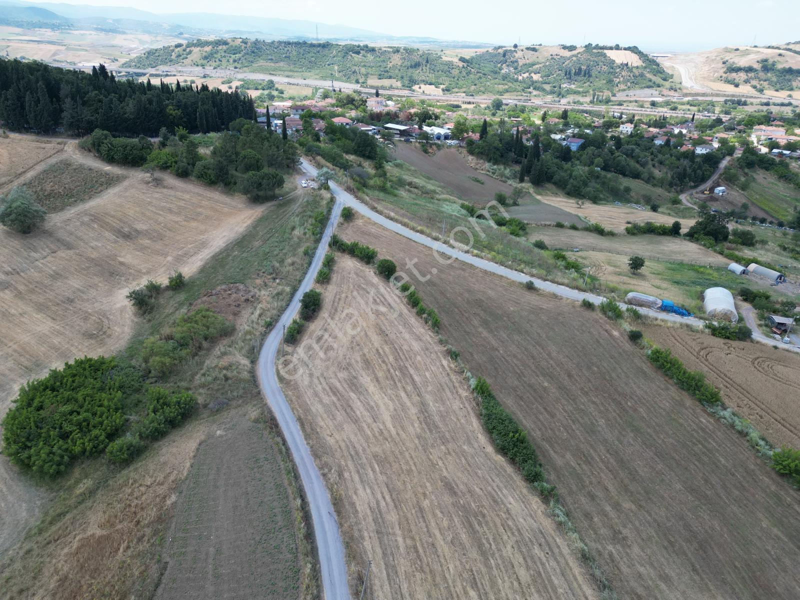 Kılıç' Ta Köy Merkezine 500 Metre 7.941 M2 Yola Cephe Arazi - Görsel 3