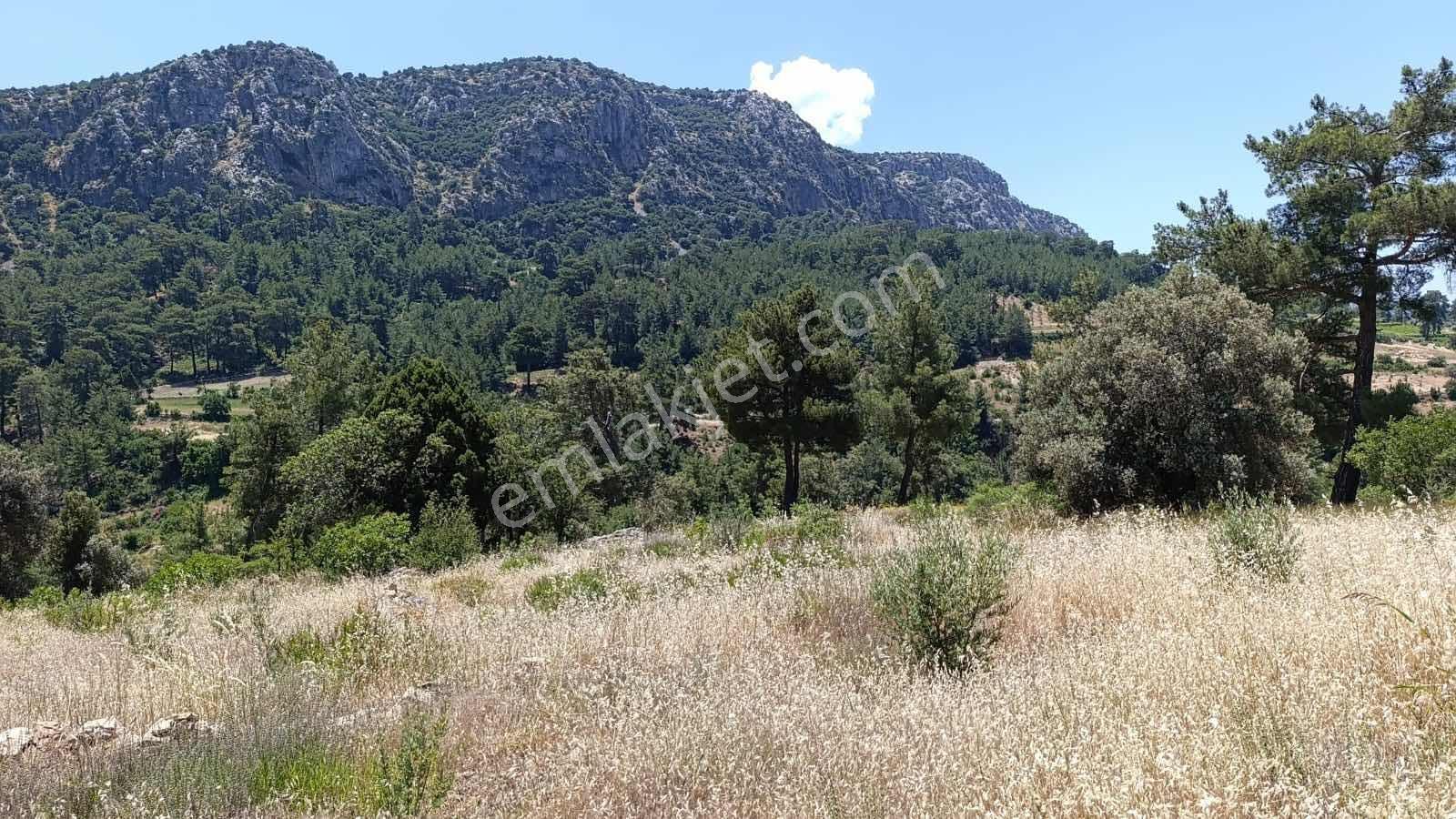 Muğla Seydikemer Arsaköy'de Doğayla İç İçe 888 M² Satılık Tarla - Görsel 12