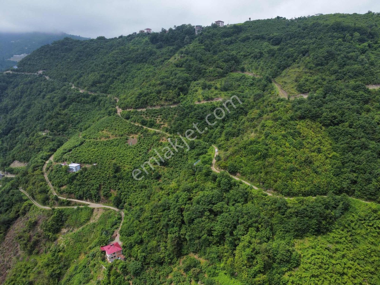 Trabzon Yomrada Turizm İmarlı Tek Arsa - Görsel 10