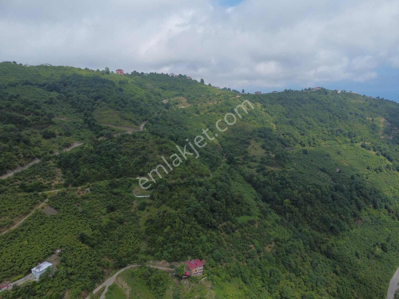 Trabzon Yomrada Turizm İmarlı Tek Arsa - Görsel 29