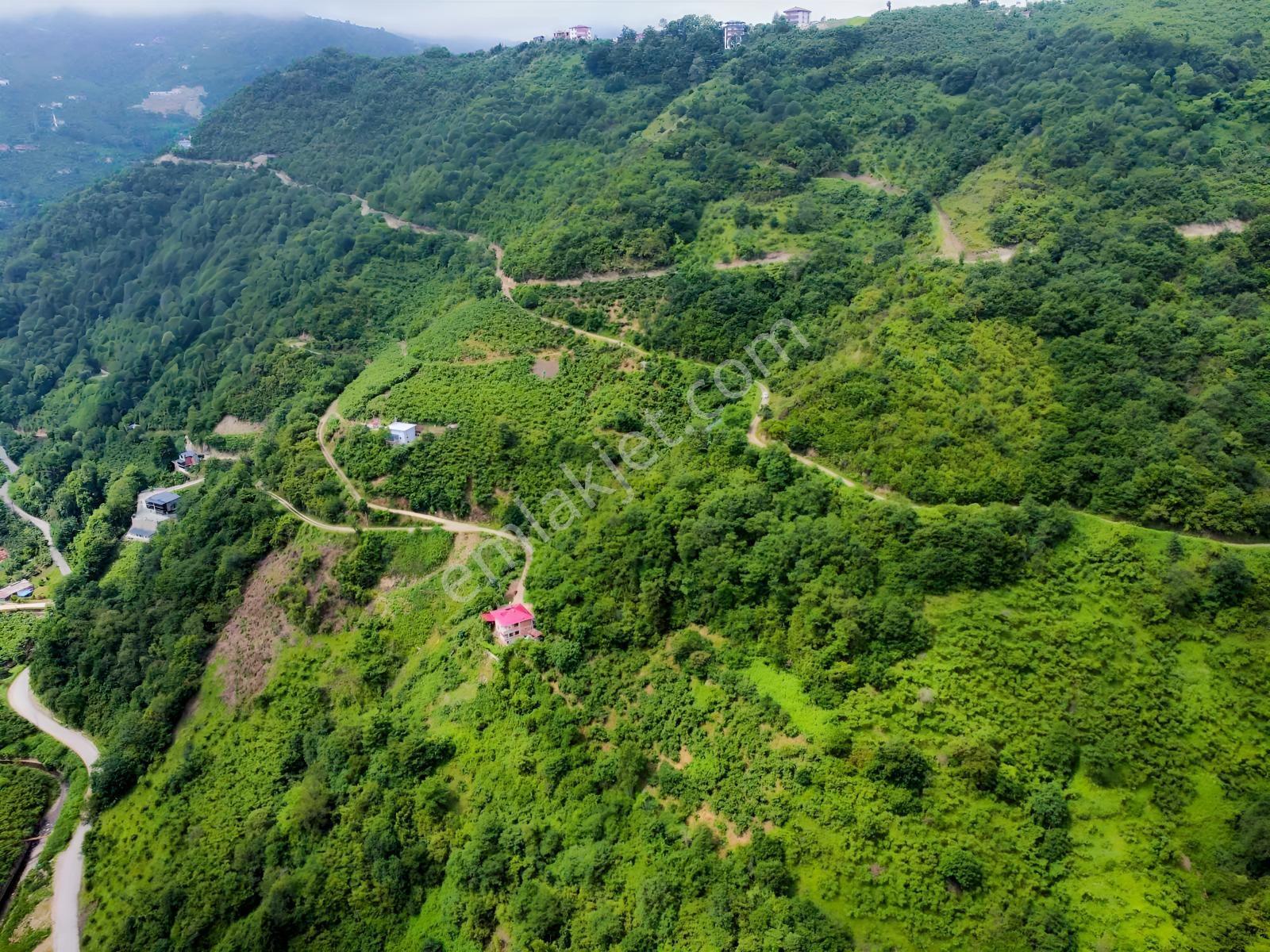 Trabzon Yomrada Turizm İmarlı Tek Arsa - Görsel 8