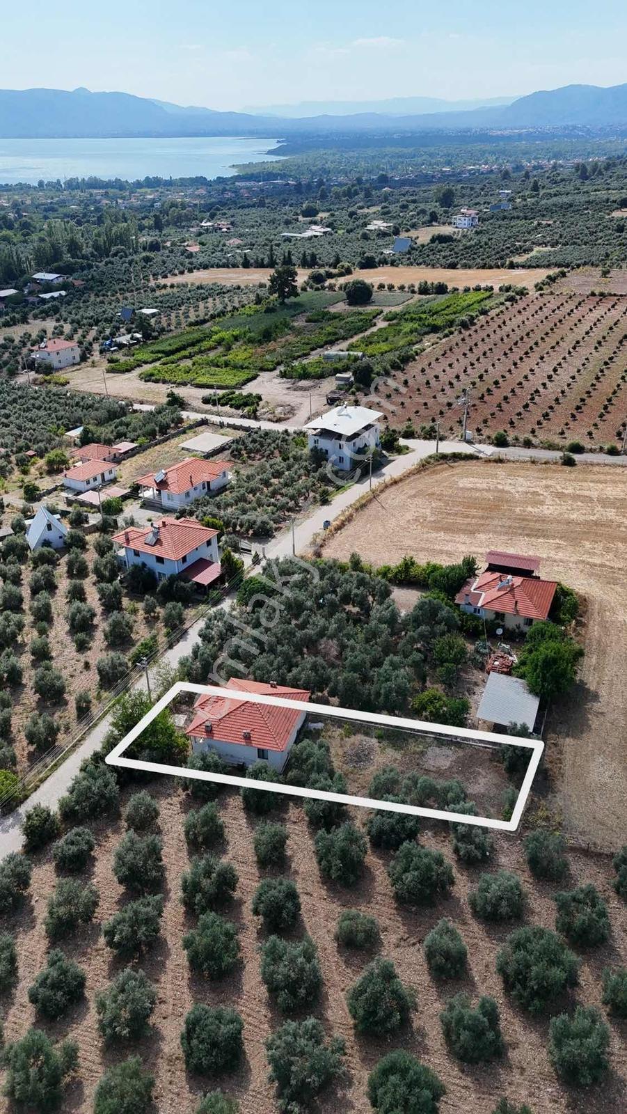 Köyceğiz Zeytinalanı 527 M2 Arsa İçerisinde Satılık Müstakil Ev - Görsel 2