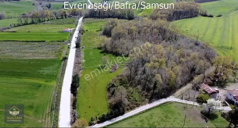 Evrenuşağında Köy Yoluna Cephe Ağaçlıklı Satılık Tarla. - Görsel 2