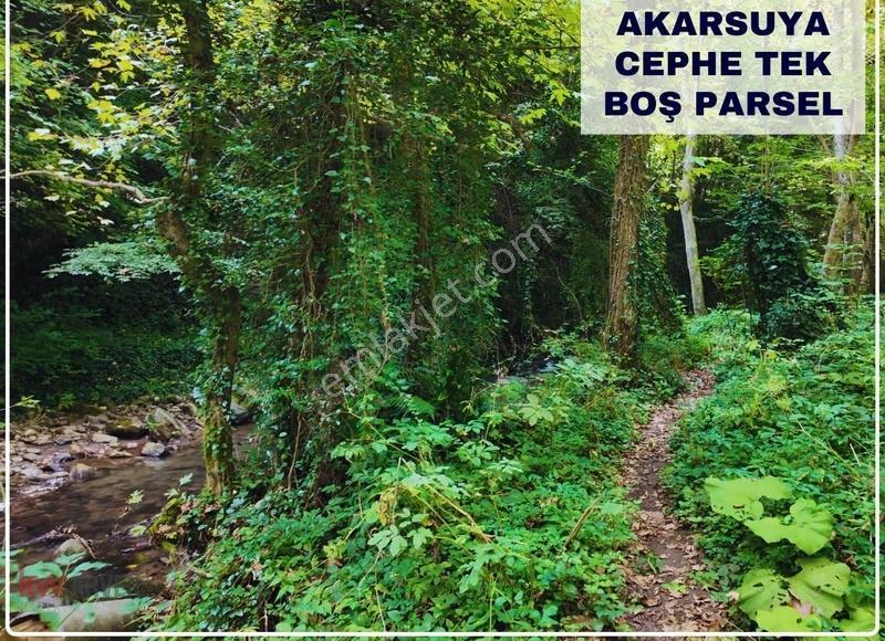 Akarsuya 200 Metre, Asfalt Yola 165 Metre Cepheli Emsalsiz Arsa - Görsel 6