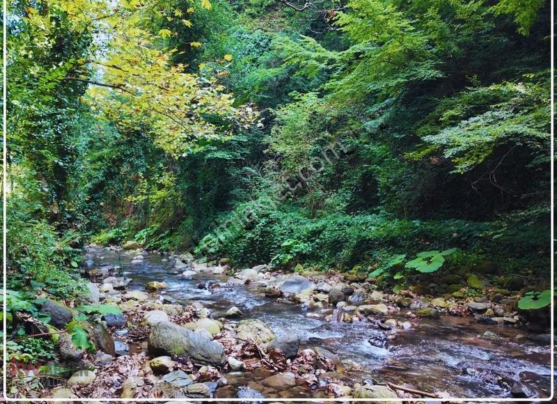 Akarsuya 200 Metre, Asfalt Yola 165 Metre Cepheli Emsalsiz Arsa