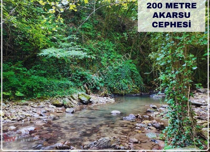 Akarsuya 200 Metre, Asfalt Yola 165 Metre Cepheli Emsalsiz Arsa - Görsel 11