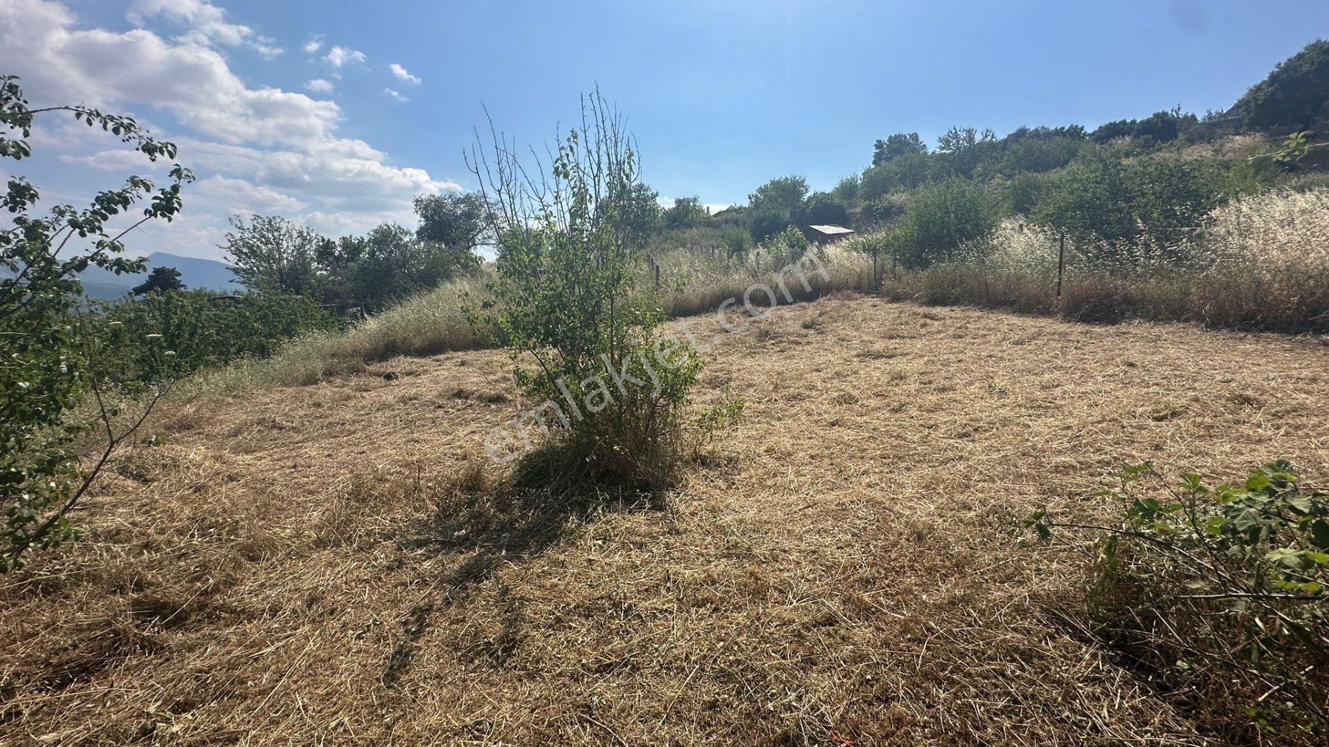 Bornova Yakaköy Cevizliyayla Mevkii Bağ Bahçe - Görsel 19
