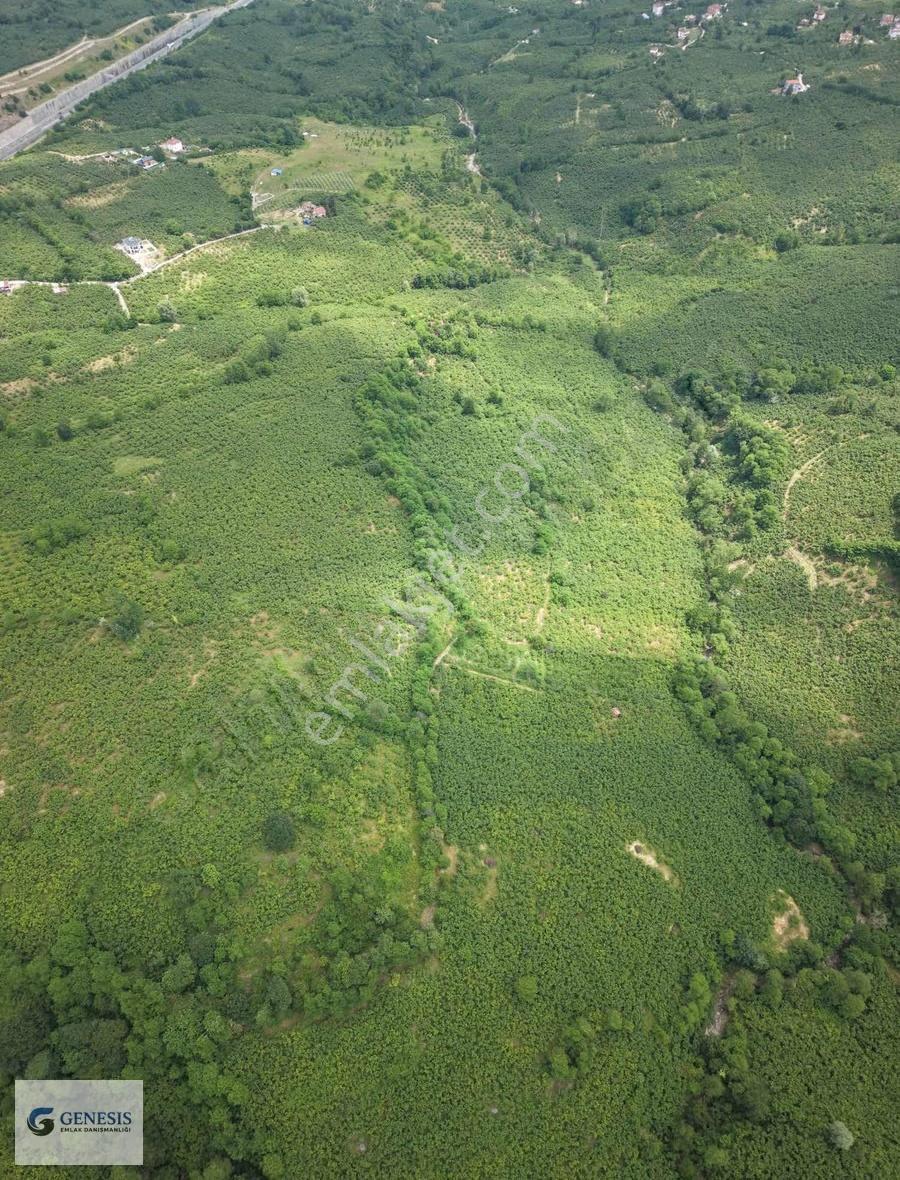 Genesis Emlaktan Öcelide Tek Parsel 10.000 M² Bahçe - Görsel 4