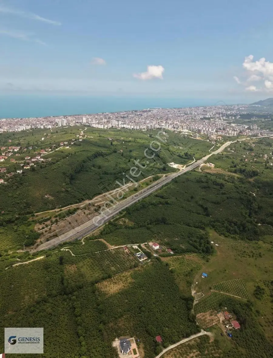 Genesis Emlaktan Öcelide Tek Parsel 10.000 M² Bahçe