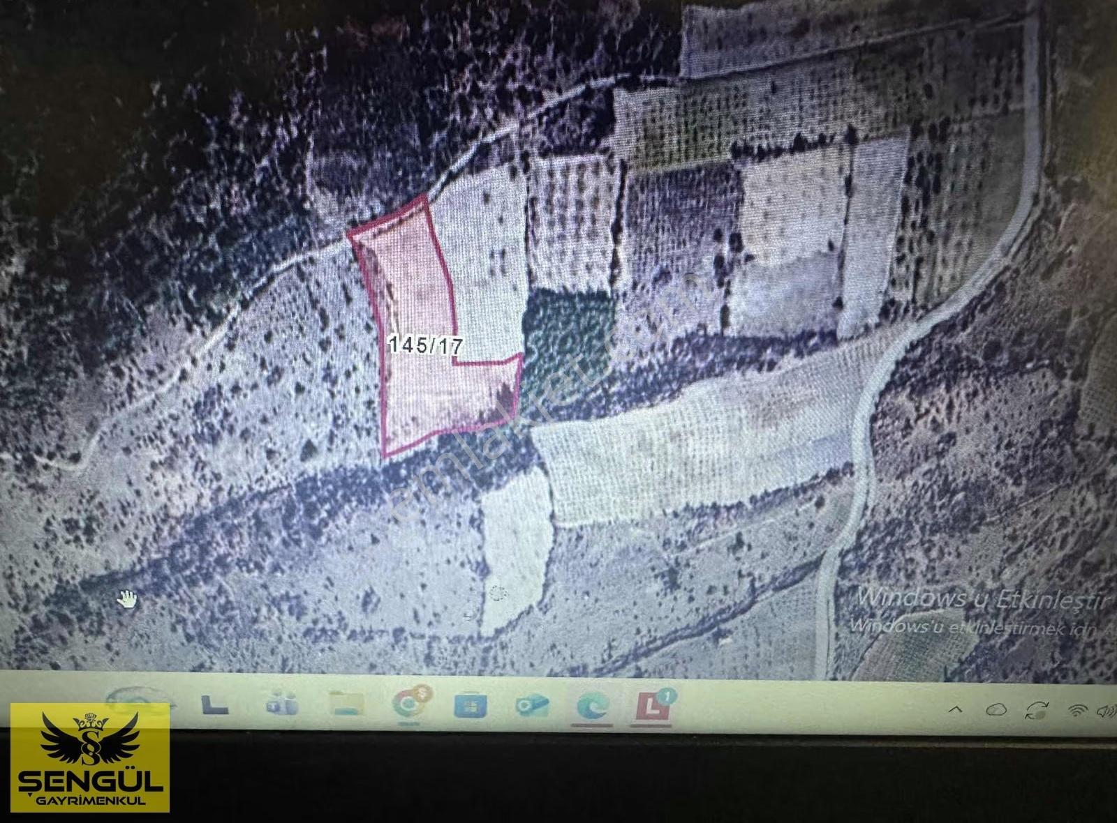 Şengül Gyo'dan Bekilli Gömce'de Satılık 10930 M2 Ceviz Bahçesi, - Görsel 2