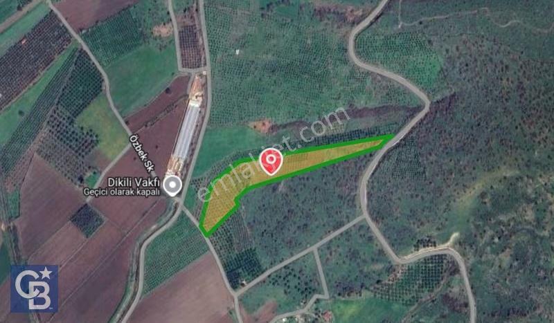 Cb Odak'tan Dikili Kızılçukur'da Satılık 23.060 M² Zeytinlik - Görsel 5