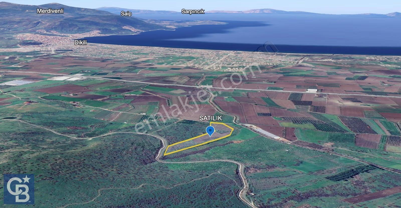 Cb Odak'tan Dikili Kızılçukur'da Satılık 23.060 M² Zeytinlik - Görsel 4
