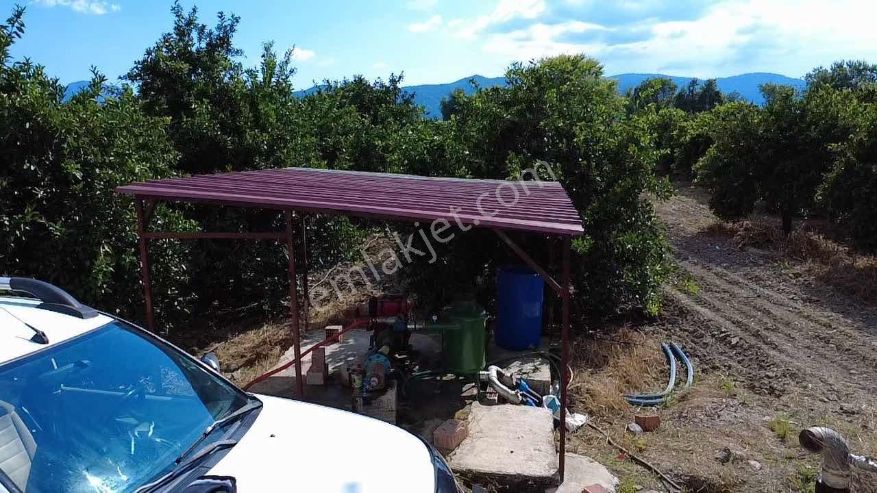 Köyceğiz Toparlarda 19.220 M² Verimli Portakal Bahçesi - Görsel 28