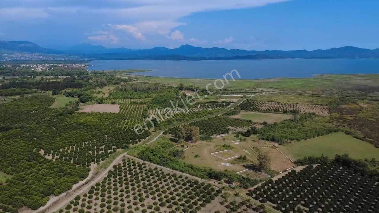 Köyceğiz Toparlarda 19.220 M² Verimli Portakal Bahçesi - Görsel 13