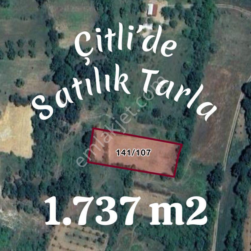 Altınbaş Emlak'tan Çitli'de Satılık Tarla