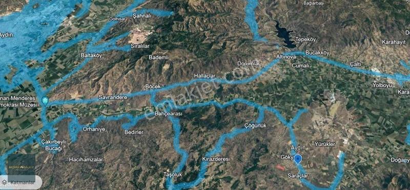 Çine Gökkaya Da 45 Dönüm Zeytinlik - Görsel 2