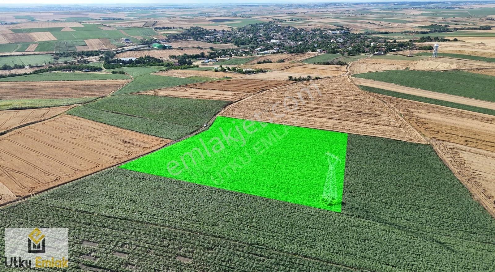 Babaeski Pancarköy De 21788 M2 Köydibi Satılık Tarla