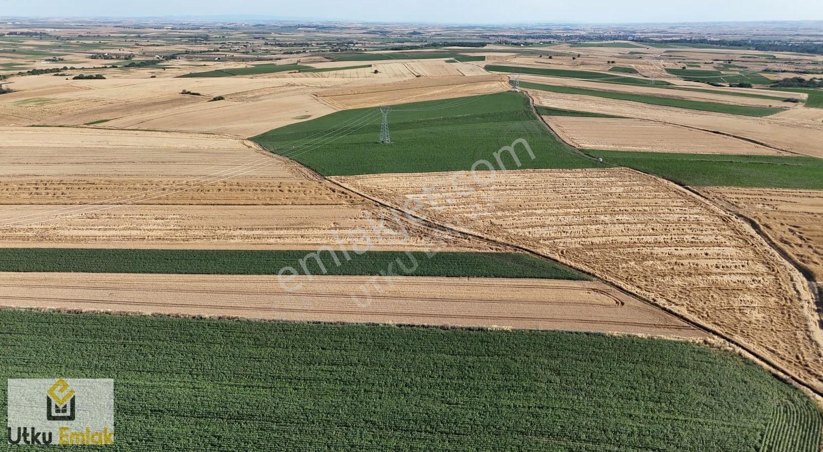 Babaeski Pancarköy De 21788 M2 Köydibi Satılık Tarla - Görsel 15