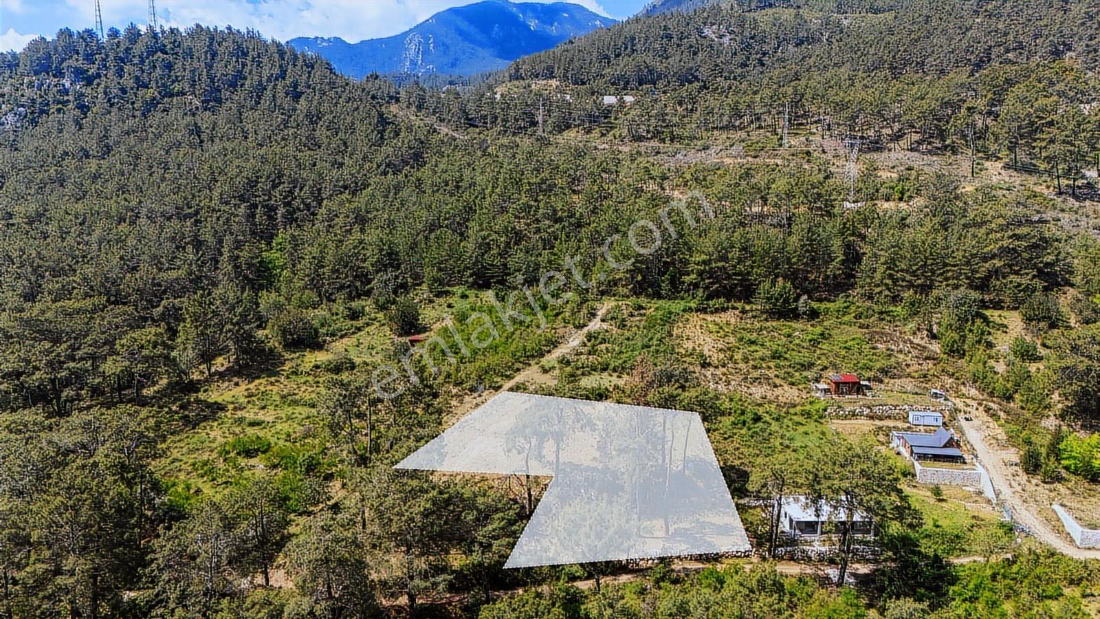 Kemer Ulupınar'da Satılık 2291 M2 Arazi - Görsel 5