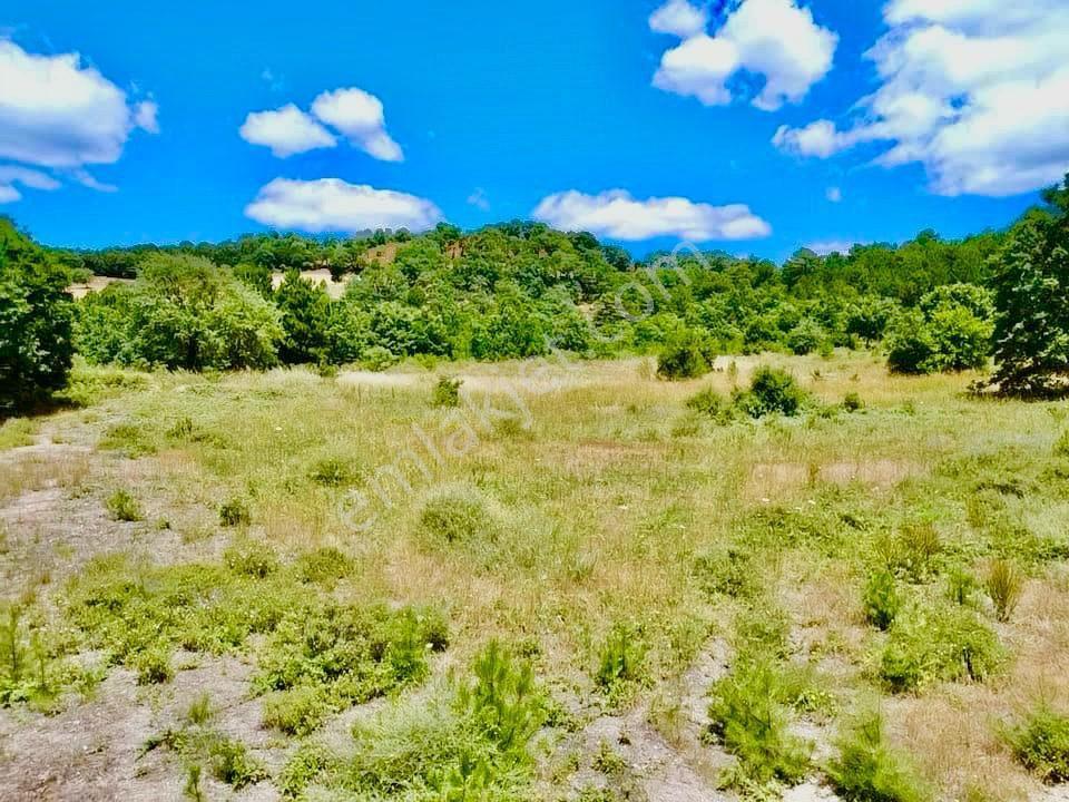 Balcity - Balıkesir Havran Kobaklar Mah.3.400 M2 Müstakil Tapulu Arazimiz Fırsat Fiyat - Görsel 5