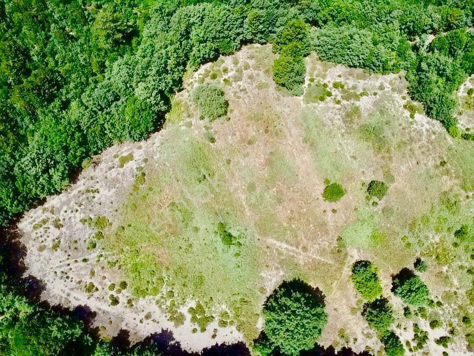 Balcity - Balıkesir Havran Kobaklar Mah.3.400 M2 Müstakil Tapulu Arazimiz Fırsat Fiyat - Görsel 15