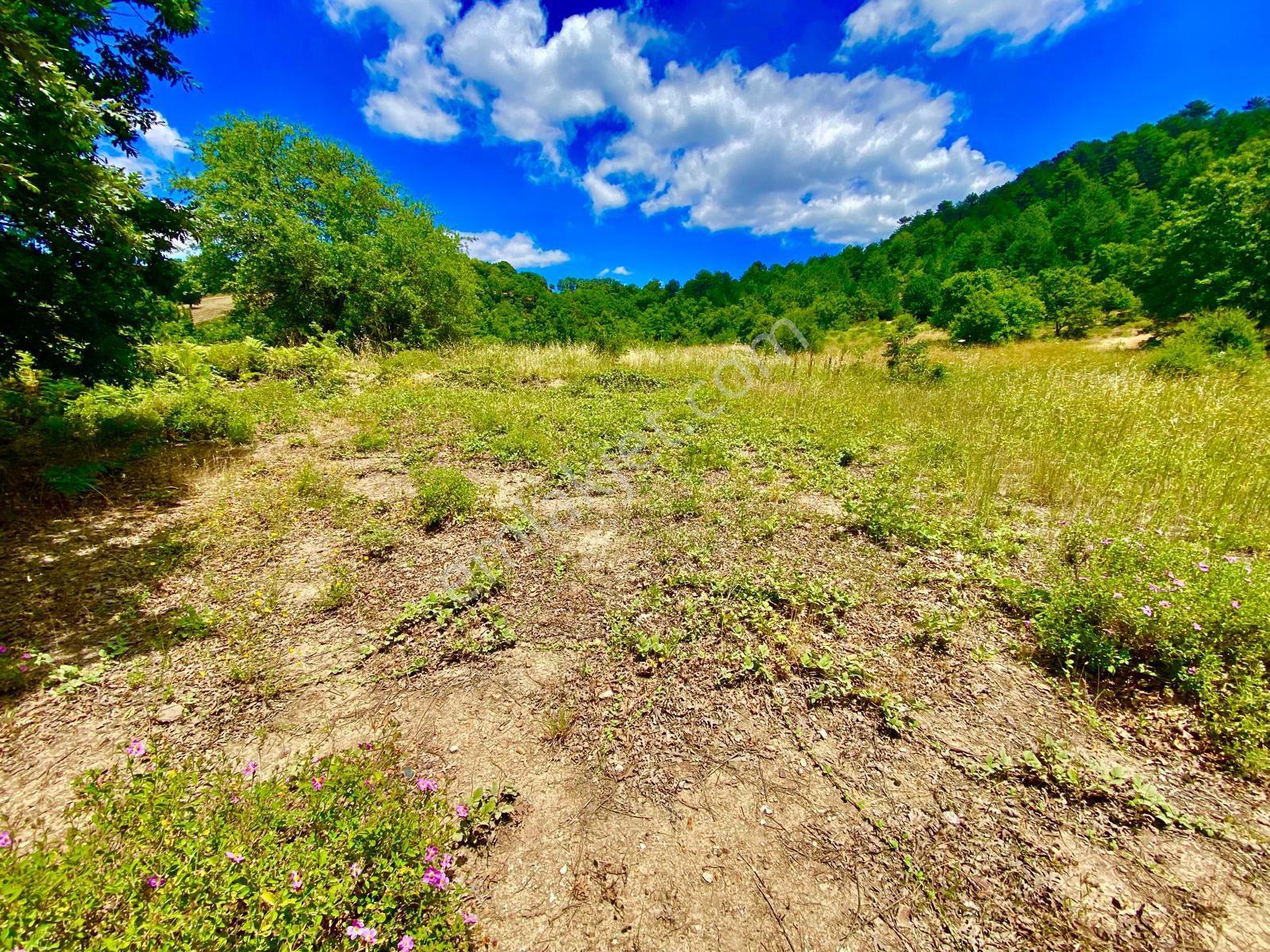 Balcity - Balıkesir Havran Kobaklar Mah.3.400 M2 Müstakil Tapulu Arazimiz Fırsat Fiyat - Görsel 13