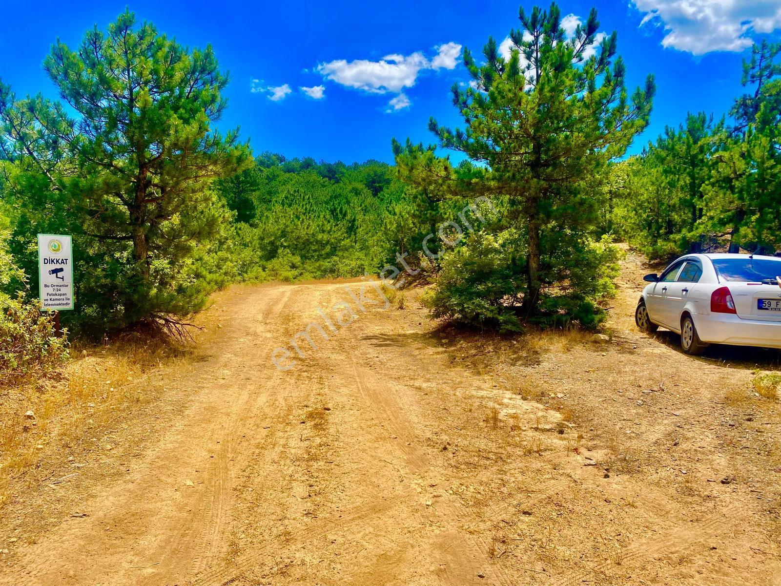 Balcity - Balıkesir Havran Kobaklar Mah.3.400 M2 Müstakil Tapulu Arazimiz Fırsat Fiyat - Görsel 16