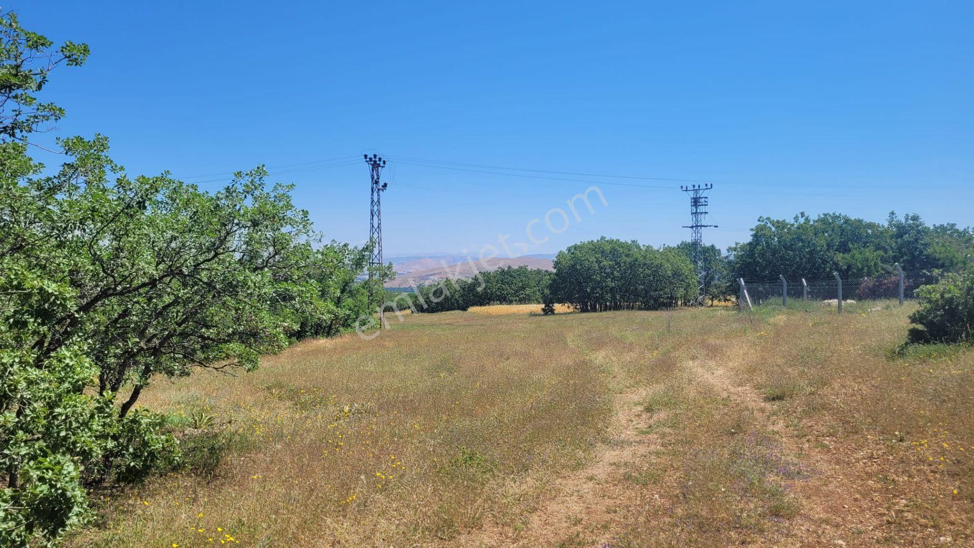 Hankendi Ekrüz(çallıca)köyünde 9677mt2 Bahçelik Yatırımlık Tarla