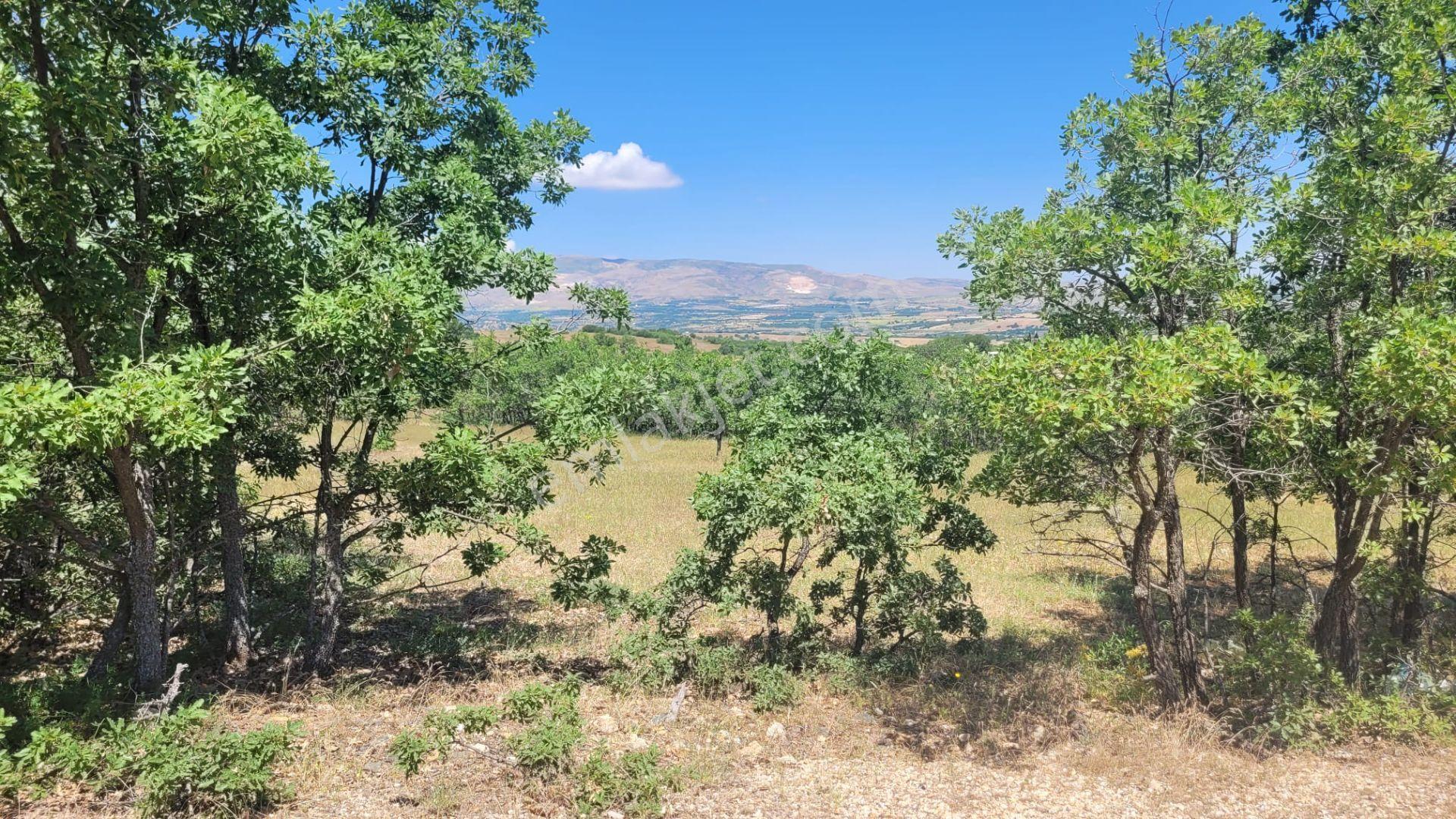 Hankendi Ekrüz(çallıca)köyünde 9677mt2 Bahçelik Yatırımlık Tarla - Görsel 12