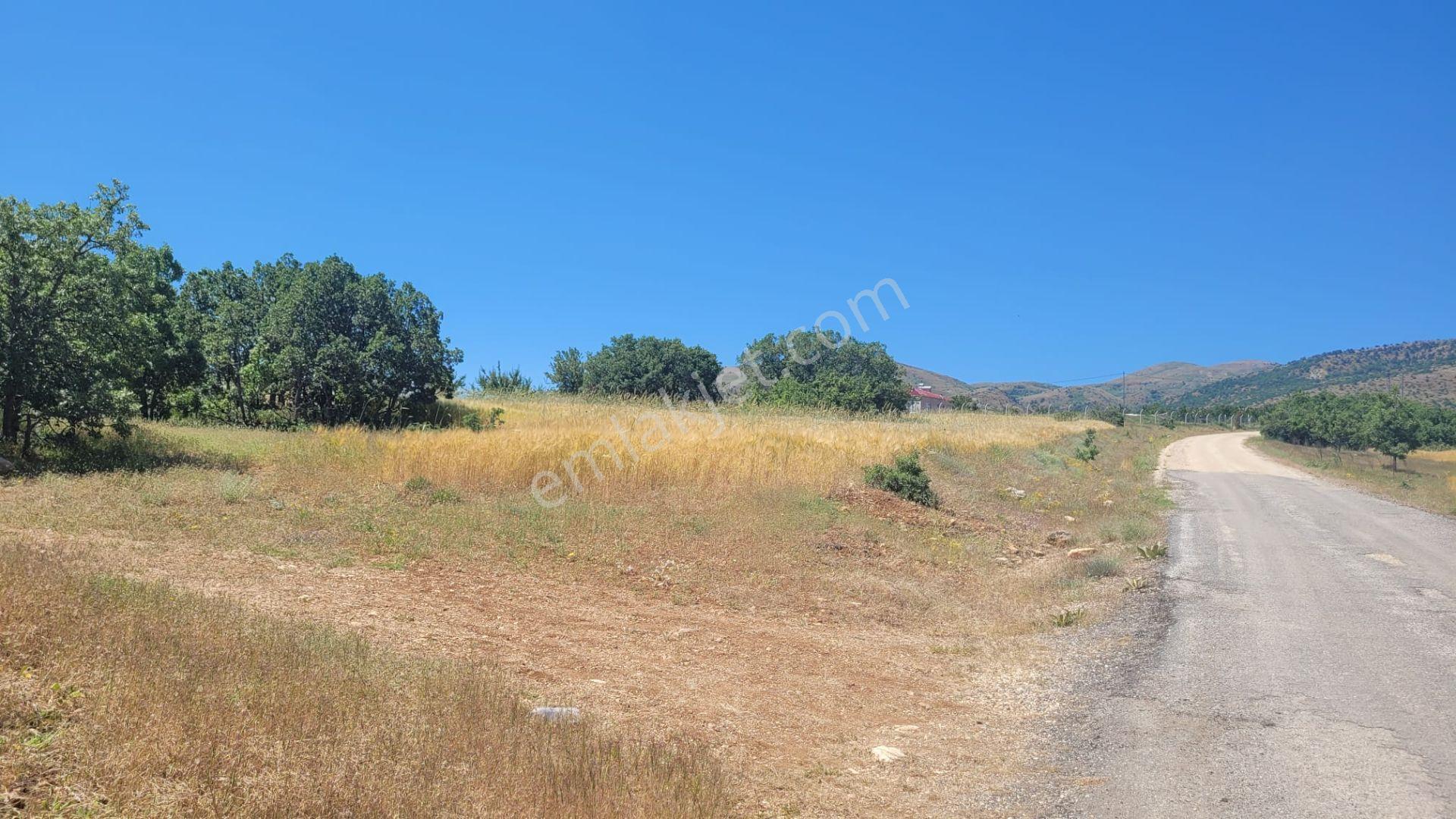 Hankendi Ekrüz(çallıca)köyünde 9677mt2 Bahçelik Yatırımlık Tarla - Görsel 7