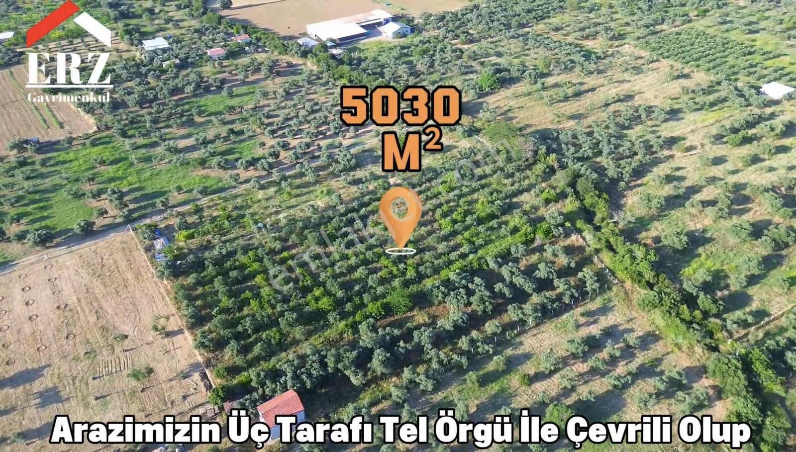 Erz'den Kemalpaşa A.kızılcada Satılık 5030 M² Tek Tapulu Bahçe - Görsel 13