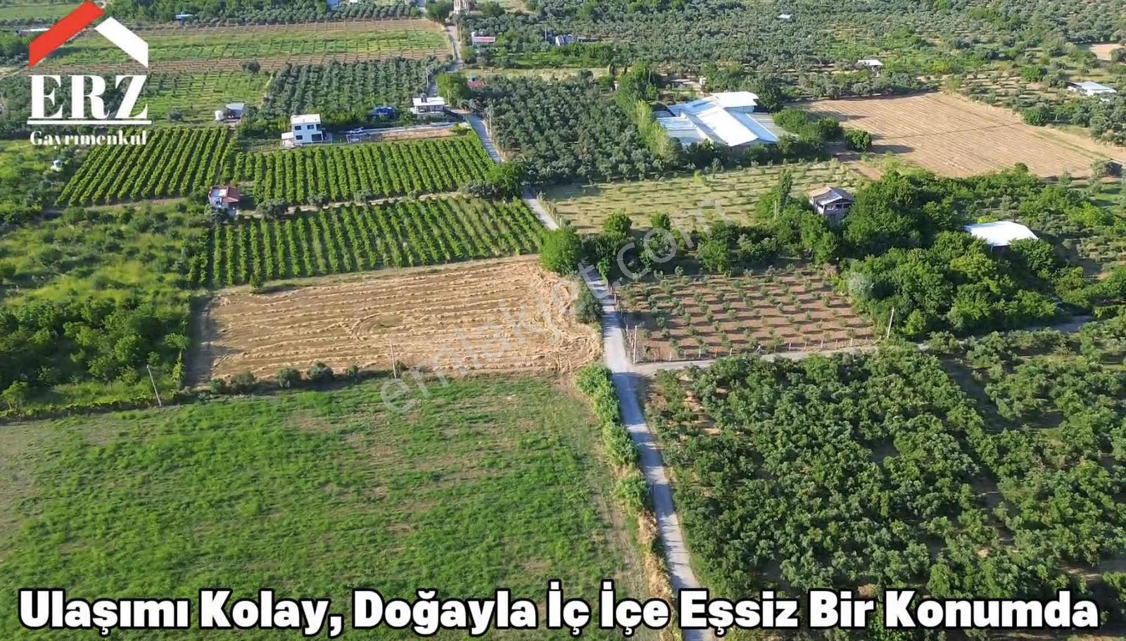 Erz'den Kemalpaşa A.kızılcada Satılık 5030 M² Tek Tapulu Bahçe - Görsel 11