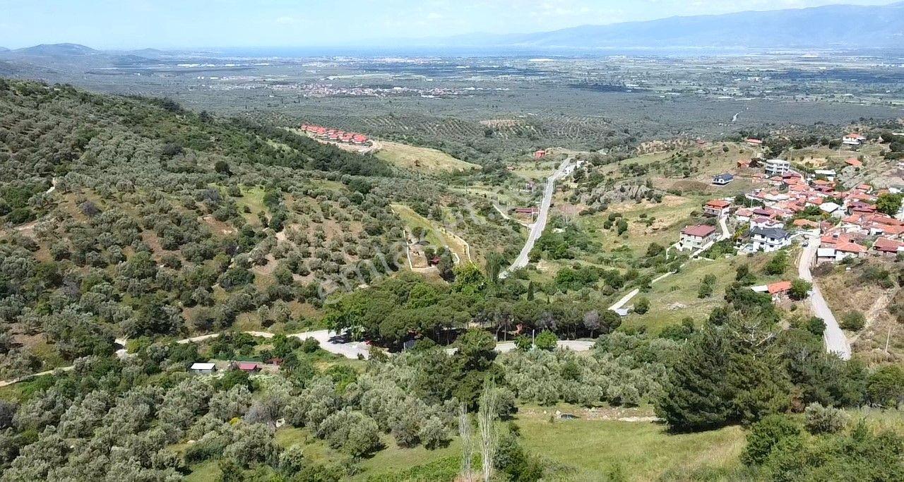 Burhaniye Dutlucada 2434 M2 Deniz Ve Doğa Manzaralı Satılık Arsa - Görsel 24
