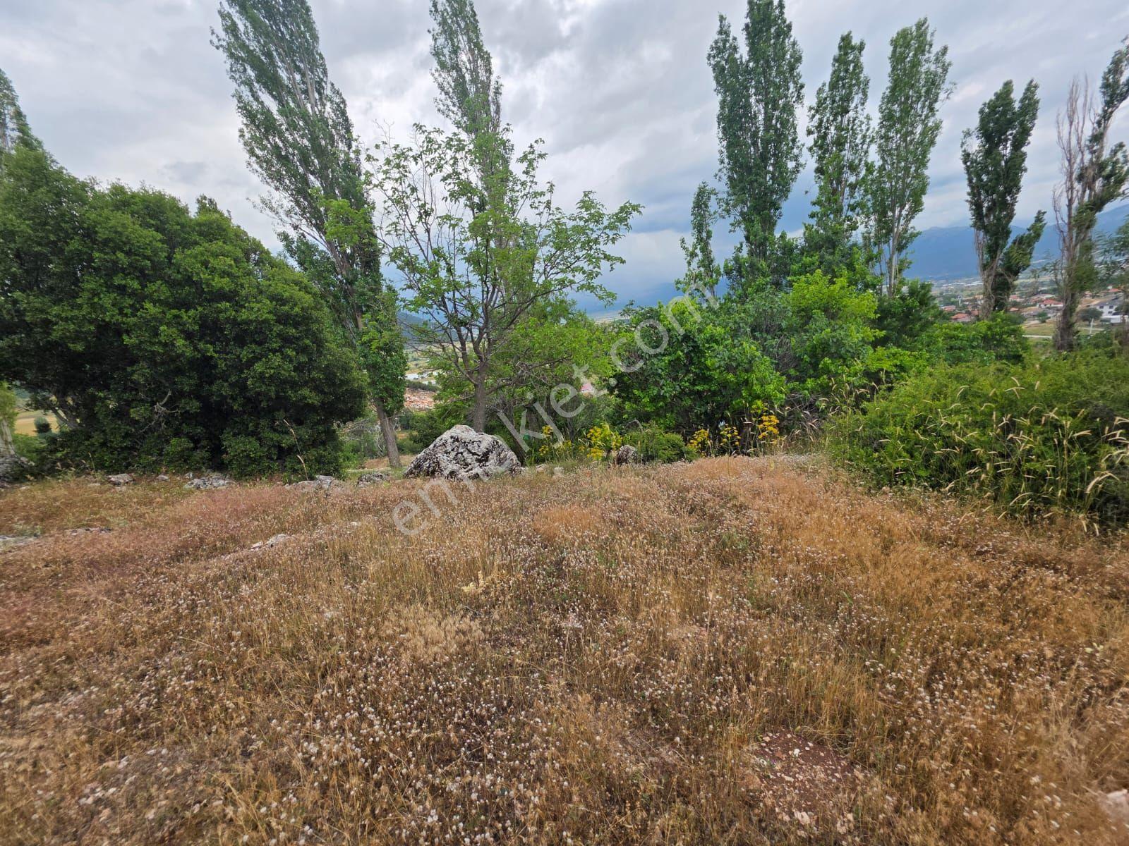 🚨 Acil Satılık – Seydikemer Yayla Kınık’ta Kupo​n Arazi! 🚨 - Görsel 31