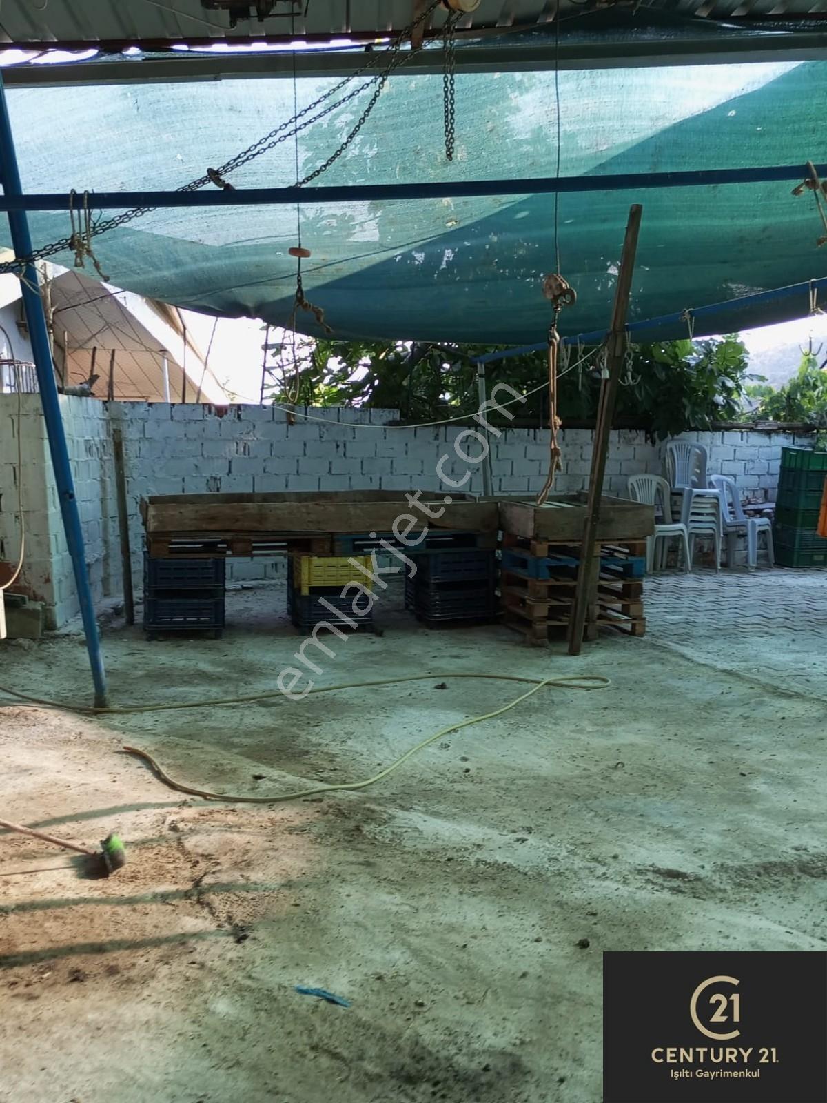 Centry21 Işıltı Gayrimenkul Den Kalfaköy De Arsa İçinde Köy Evi - Görsel 4