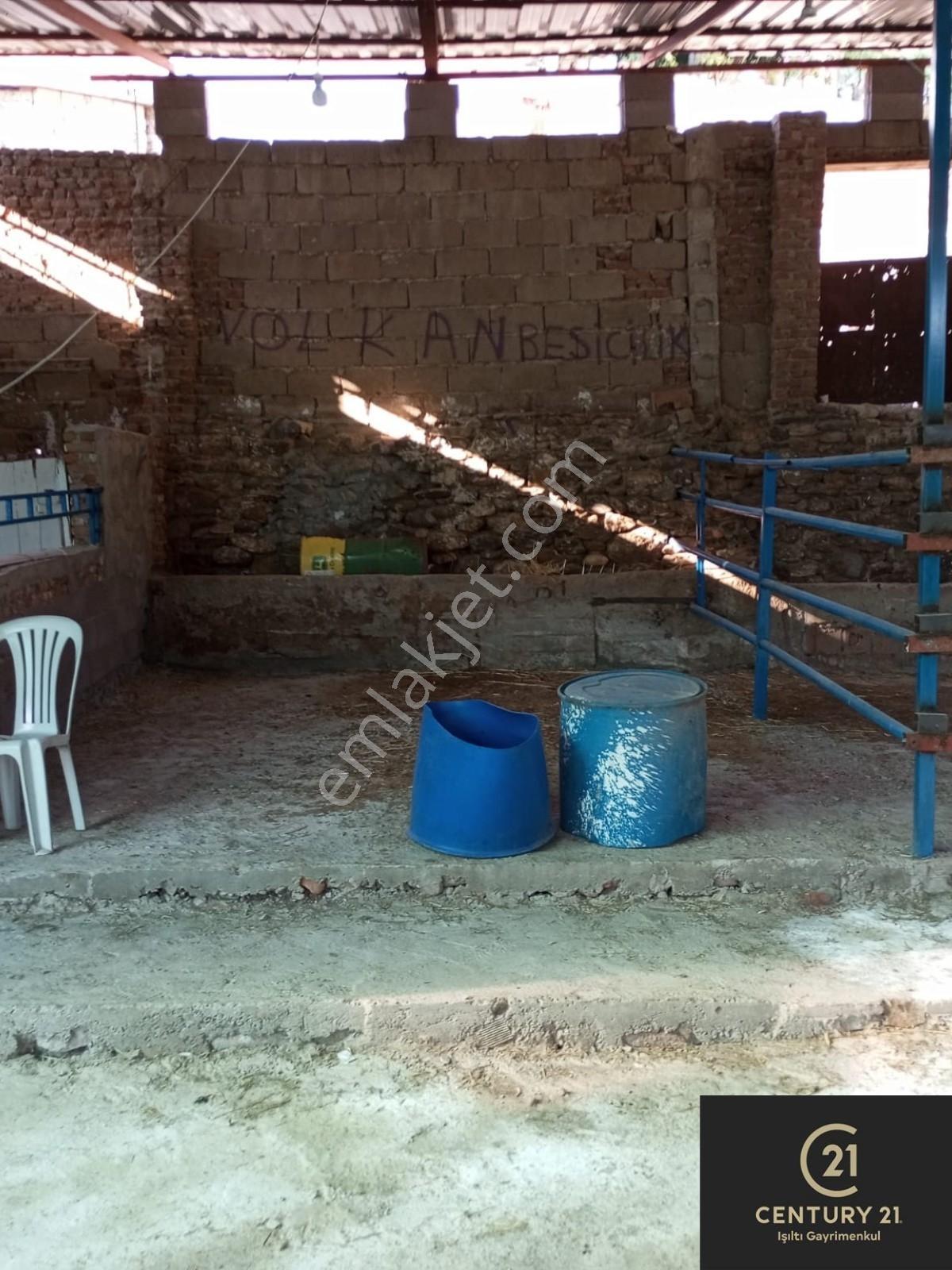 Centry21 Işıltı Gayrimenkul Den Kalfaköy De Arsa İçinde Köy Evi - Görsel 14