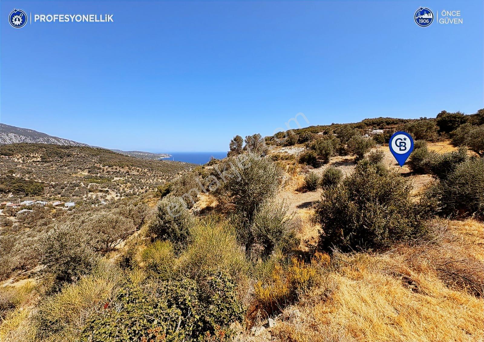 İzmir Karaburun Eğlenhoca'da Deniz Manzaralı Satılık Arazi - Görsel 10