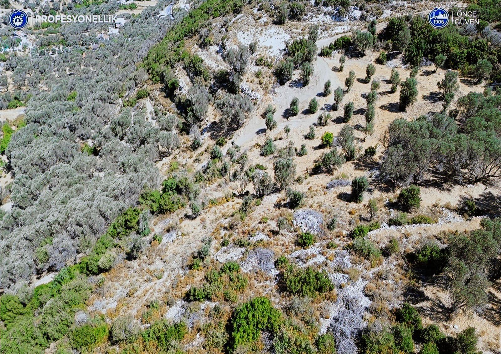 İzmir Karaburun Eğlenhoca'da Deniz Manzaralı Satılık Arazi - Görsel 24