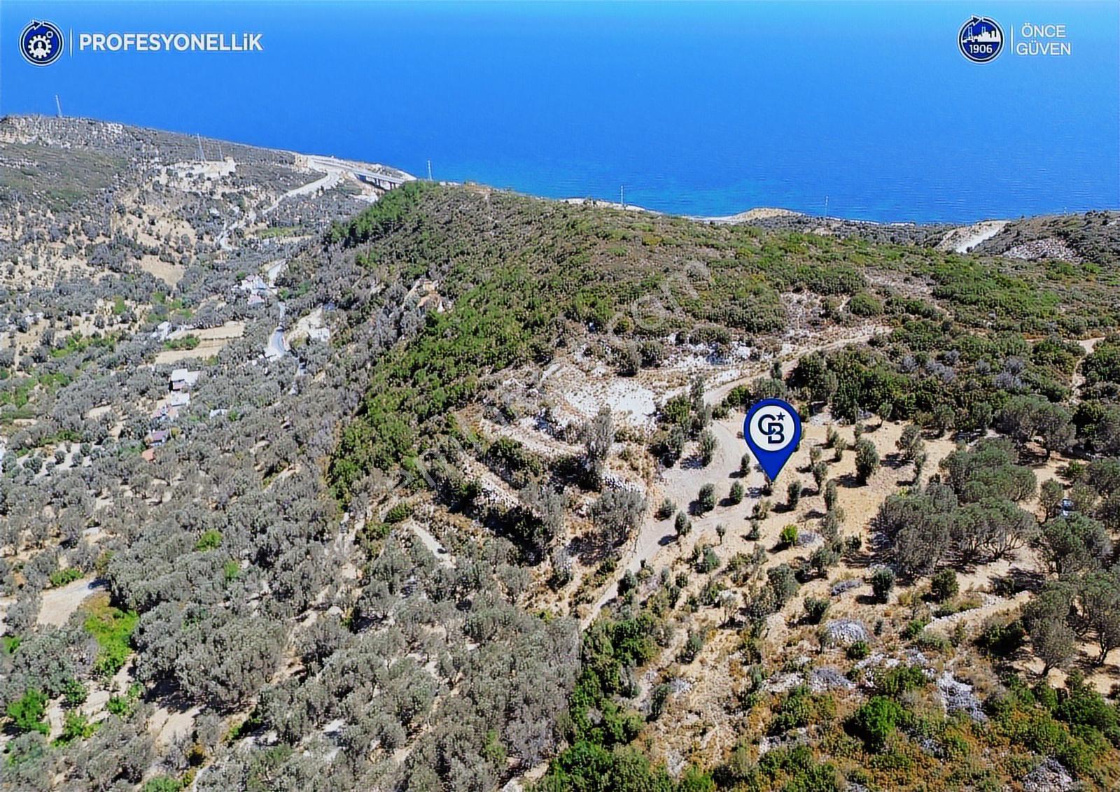 İzmir Karaburun Eğlenhoca'da Deniz Manzaralı Satılık Arazi - Görsel 25