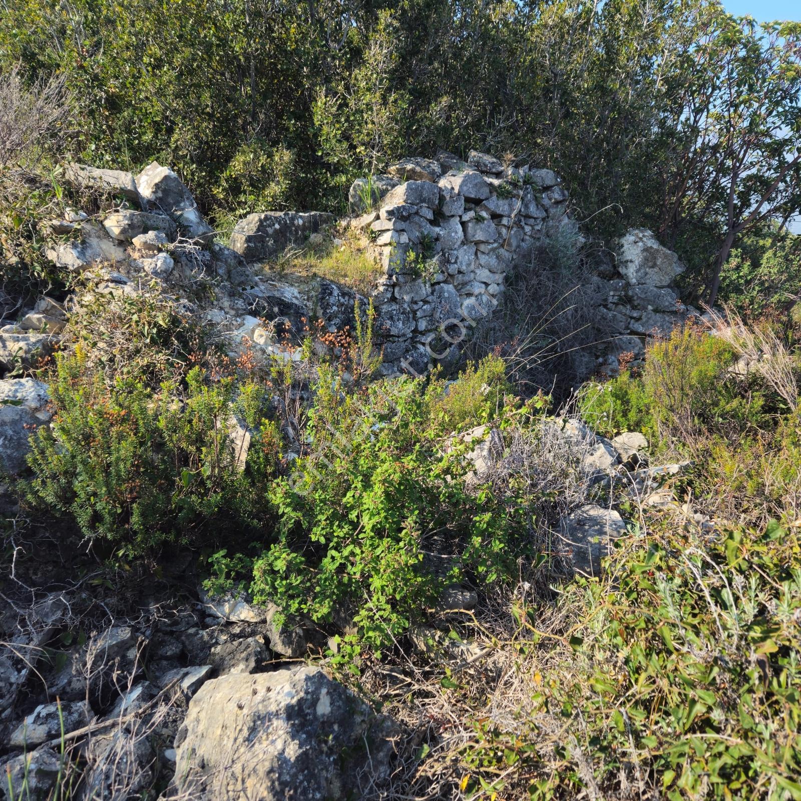 İzmir Karaburun Eğlenhoca'da Deniz Manzaralı Satılık Arazi - Görsel 23