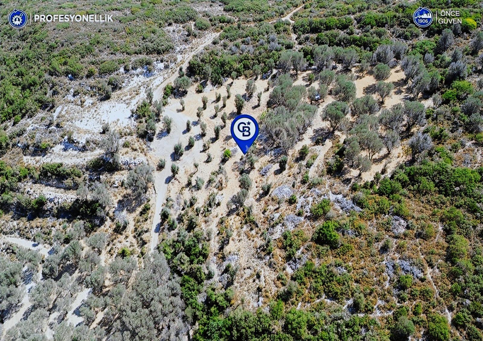 İzmir Karaburun Eğlenhoca'da Deniz Manzaralı Satılık Arazi - Görsel 6