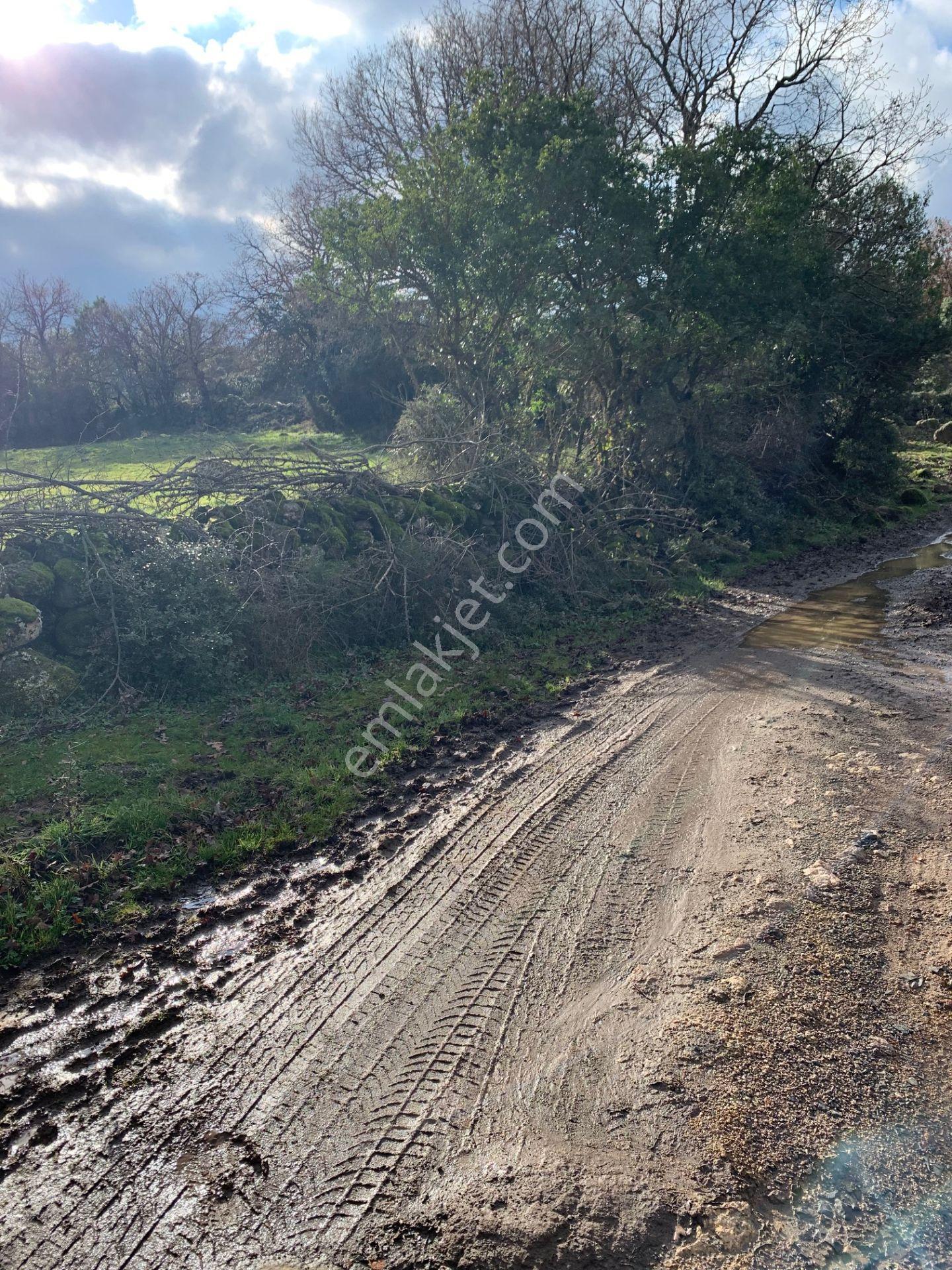 Balya Doğanlar'da Yola Cepheli 1425 M² Satılık Tarla Sahibinden - Görsel 7