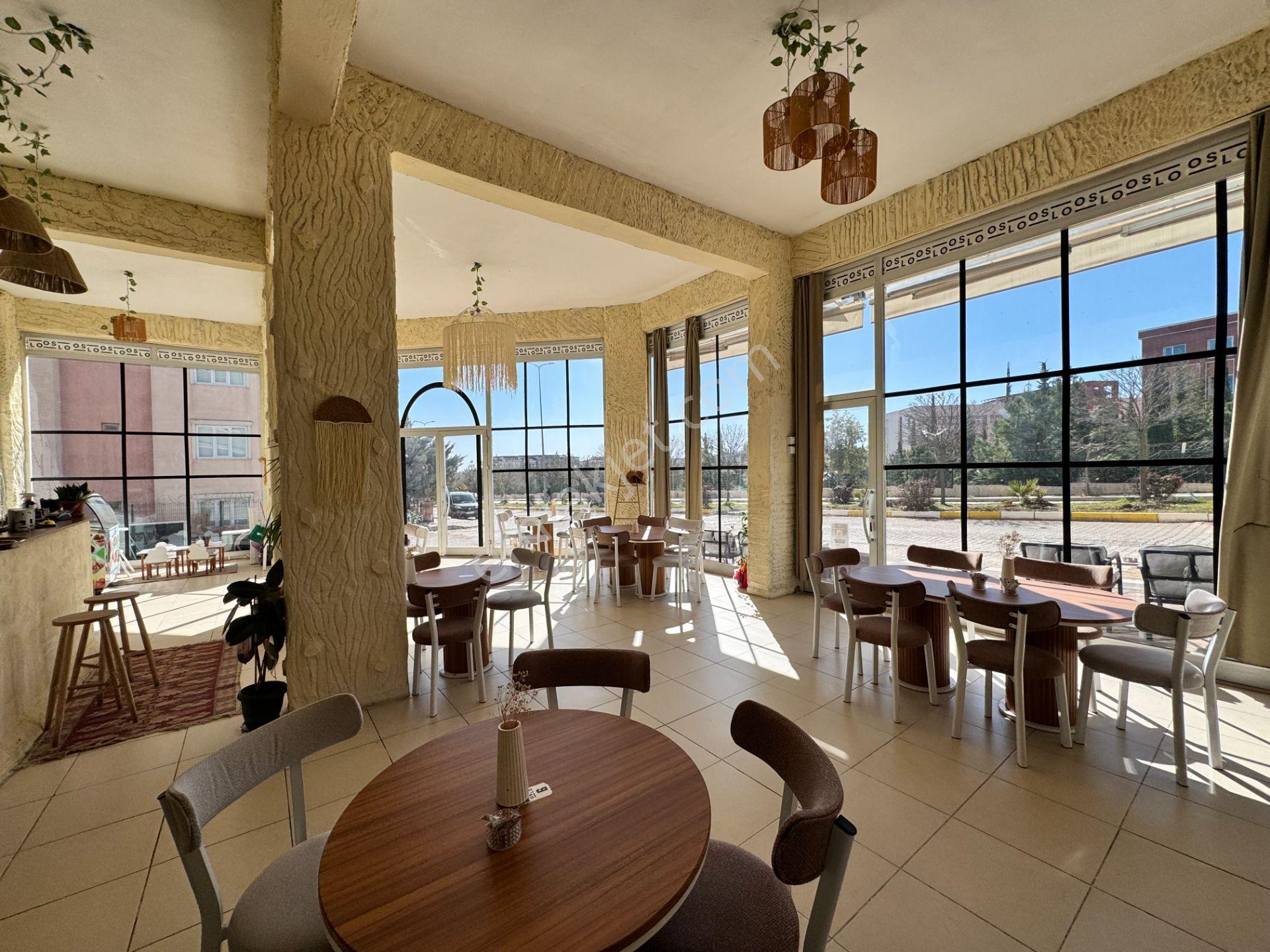 Babil Emlaktan Kiralık Üniversite Yanı Köşe Başı İşyeri&mağaza - Görsel 13