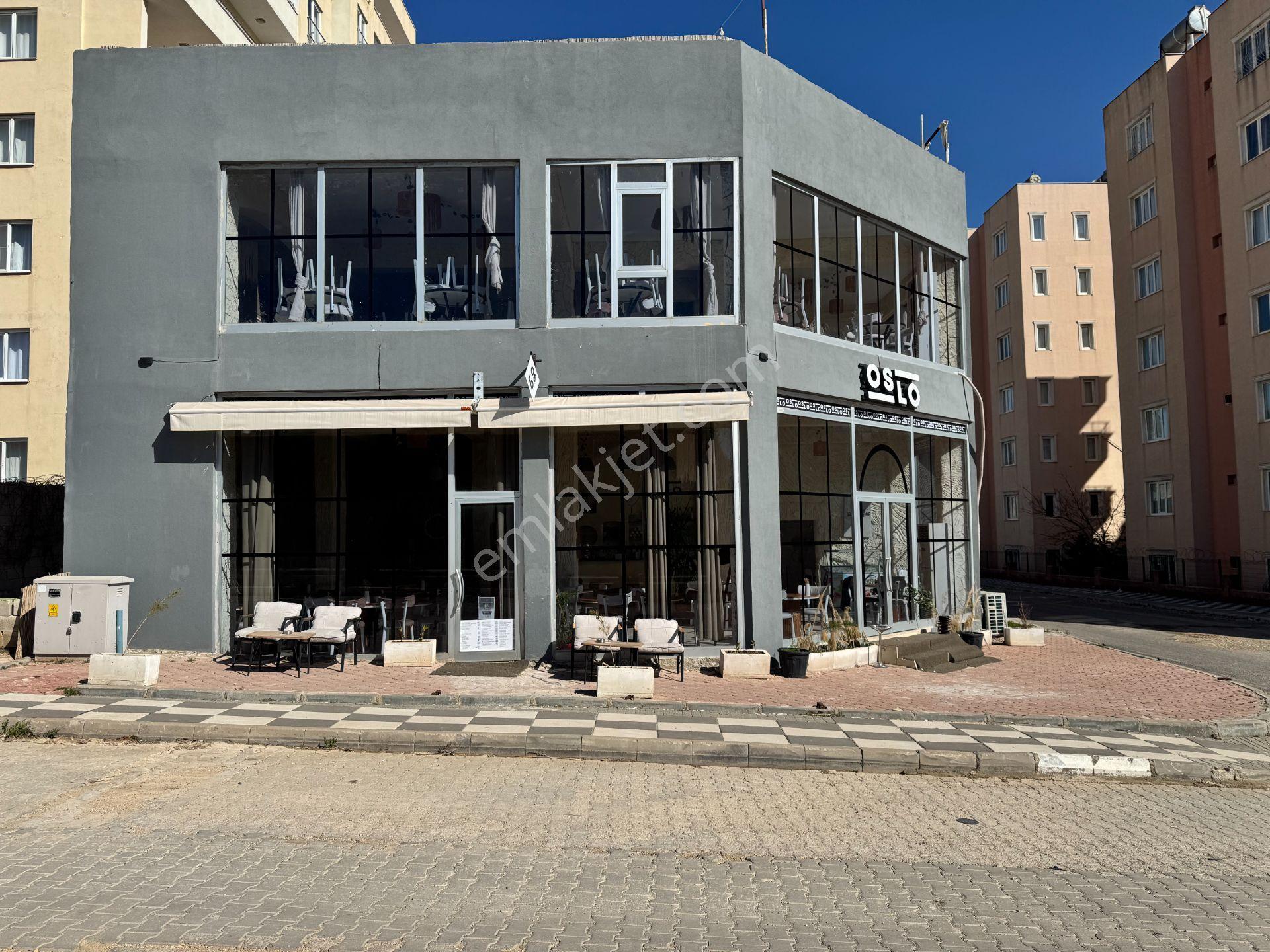 Babil Emlaktan Kiralık Üniversite Yanı Köşe Başı İşyeri&mağaza - Görsel 8