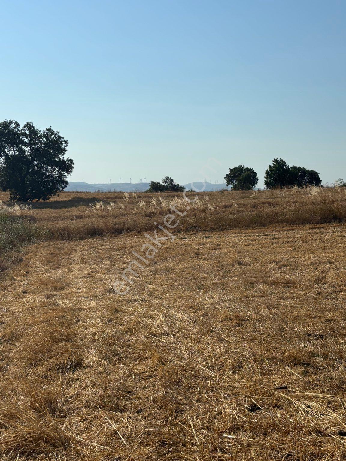 Balıkesir Kepsut İlçeye 5 Km Mesafede Bağtepe’de Köy Yerleşik Alanı İmara Sınıt 5 Dönüm Arsa Vasf - Görsel 21
