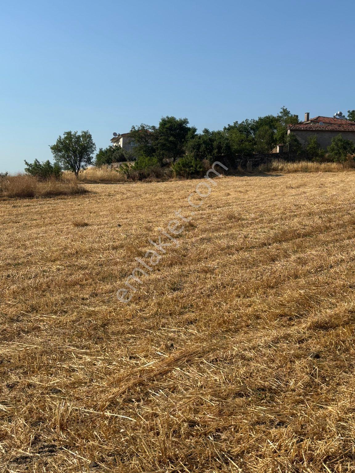 Balıkesir Kepsut İlçeye 5 Km Mesafede Bağtepe’de Köy Yerleşik Alanı İmara Sınıt 5 Dönüm Arsa Vasf - Görsel 25