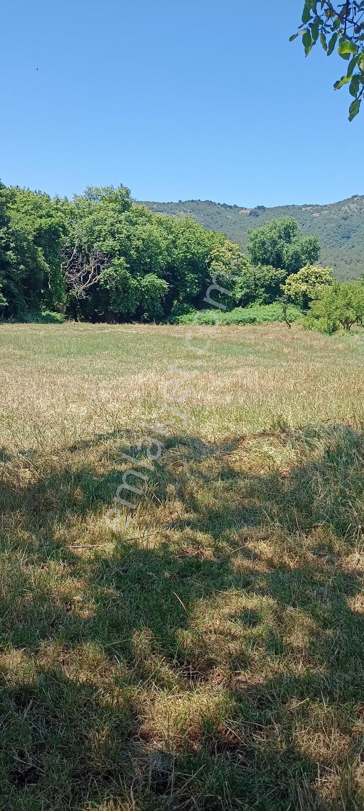 Erdek Çayağzı'nda Denize Yakın, Hobi Bahçesi - Görsel 15
